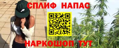 гидра Кузнецк