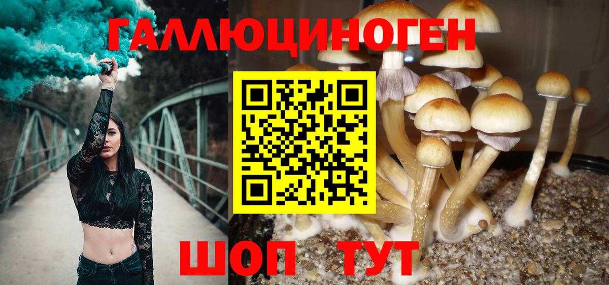 Великий Устюг  Галлюциногенные грибы Psilocybe  Вход с VPN  где найти наркотики  Псилоцибиновые грибы Cubensis 